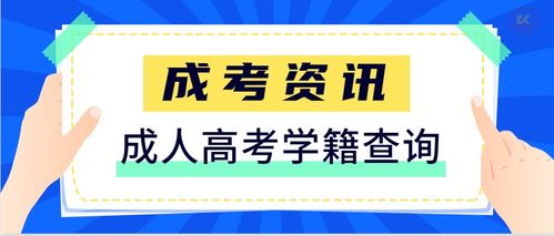 学籍查询与教育信息咨询 一站式解决您的教育信息需求